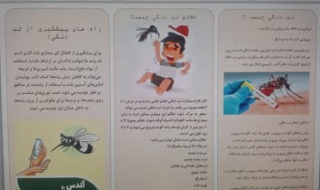 ارائه پمفلت تب دنگی (پشه آئدس)   و پمفلت چاقی و اضافه وزن