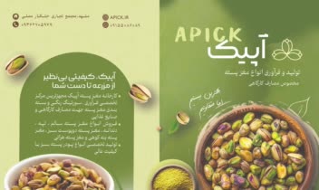 طراحی بروشور شرکت آپیک (تولید و فرآوری انواع مغز پسته)