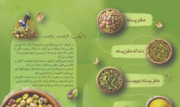 طراحی بروشور شرکت آپیک (تولید و فرآوری انواع مغز پسته)