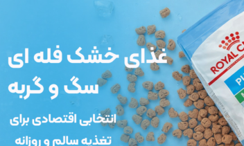 طراحی بنر لندینگ صفحه اصلی سایت فروشگاهی پت