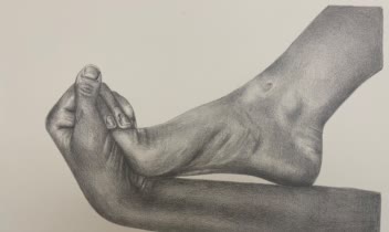 مجموعه ای از طراحی دست همراه با سایه