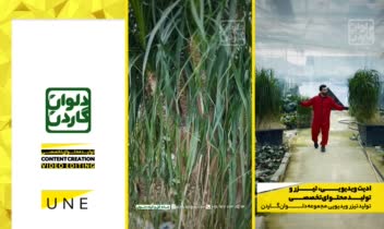 ادیت ریلز اینستاگرام - تولید محتوای تخصصی