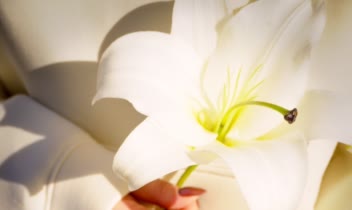 عکاسی پرتره تولد خیابونی در شیراز