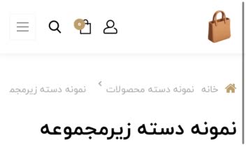 نمونه با استفاده از ابزارهای سایت‌ساز حرفه‌ای ساخته شده و قابلیت اجرا روی دامنه و هاست اختصاصی مشتری نیز وجود دارد