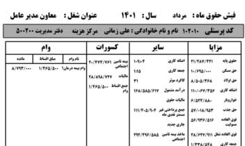 فیش حقوقی و فرمول نویسی بابت فیش حقوقی شرکت ها