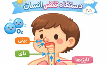 نمونه پوستر های آموزشی برای معلمان
