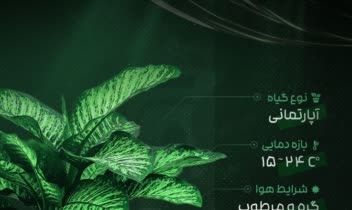 نمونه طراحی پوستر نگهداری گل و گیاه