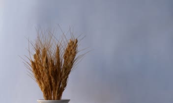 عکاسی تبلیغاتی از ظروف سرامیکی برای سایت