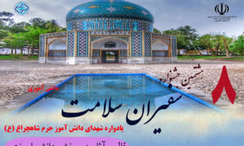 پوستر درباره هشتمین جشنواره سفیران سلامت مدارس ابتدایی می باشد