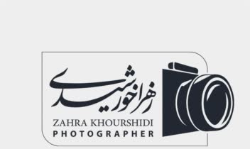 طراحی انواع لوگوی مینیمال، لوگوتایپ