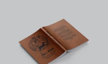 تصویرسازی و طراحی روی جلد کتاب سمک عیار
