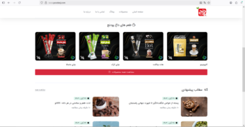 طراحی و پیاده سازی چندین وبسایت