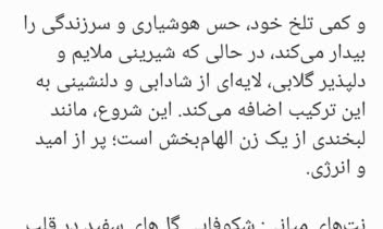 مقاله جامع و سئو شده در حوزه زیبایی و عطر با نقد و بررسی تخصصی و ادبی عطر Lancôme Idôle برای سایت فروشگاهی