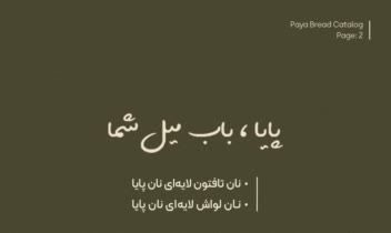طراحی کاتالوگ برای برند نان پایا و عکاسی از مصولات