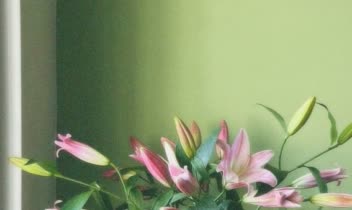 گویندگی متن و شعر ،خوانش حرفه ای