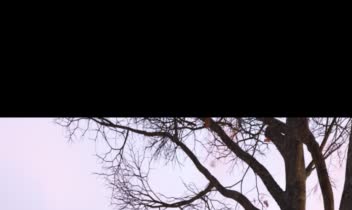 طراحی نمای کلاسیک خاص از سه نما