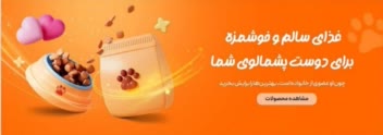 نمونه کار طراحی بنر سایت......