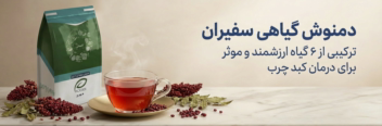 نمونه طراحی پوستر سایت شرکت سفیران