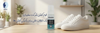 نمونه طراحی پوستر سایت شرکت سفیران