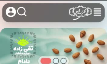 طراحی سایت آجیل و خشکبار وردپرسی
