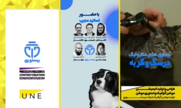 تولید استوری موشن اینستاگرام - تولید انیمیشن تخصصی