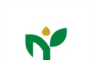 طراحی لوگو و نشان وب سایت و کارت ویزیت
