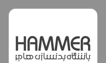طراحی لوگو باشگاه بدنسازی هامِر