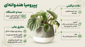 طراحی اینفوگرافیک مدرن و مینیمال برای انتقال محتوا