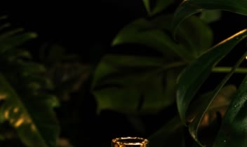 پروژه عکاسی فروشگاه محصولات بهداشتی