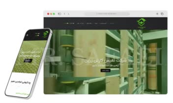 طراحی سایت و پشتیبانی سایت کارتن سازی