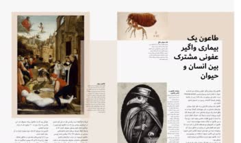 این مجموعه شامل چند نمونه از صفحه‌آرایی کتاب و مجله است که هرکدام با موضوع و حال‌و‌هوای متفاوت طراحی شده‌اند.