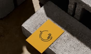 طراحی و اجرای لوگو با اسم شاهان