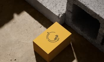 طراحی و اجرای لوگو با اسم شاهان