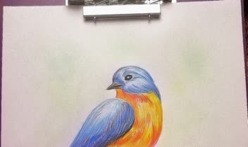نقاشی پرنده با مداد رنگی و خودکار