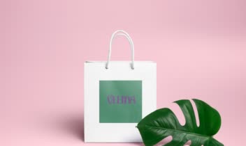 طراحی لوگو برای برند velina در حوزه پوشاک زنانه