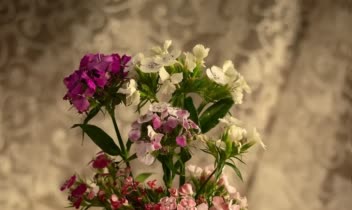 نمونه کار عکاسی از ظروف گلی دست ساز