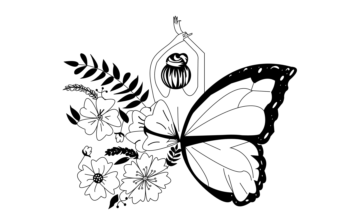 طراحی عکس برای روی تیشرت، ماگ و ....