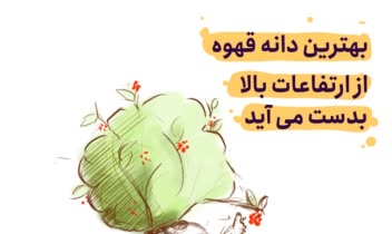 مستر لیم- آقای قهوه با طعم لمباردی