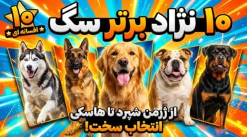 طراحی تامنیل برای ویدیوهای یوتیوب