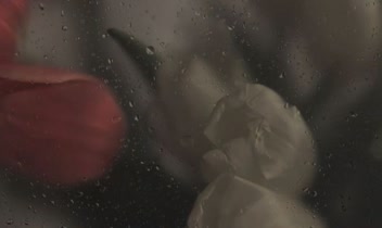 گویندگی شعر،دکلمه، نریشن،پادکست