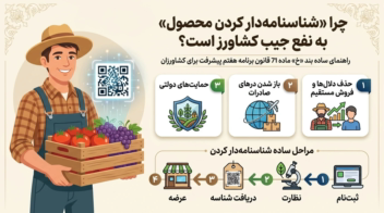 اینفوگرافیک مفهومی قانون هفتم توسعه
