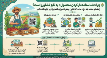 اینوفگرافیک جذاب بند خ قانون توسعه