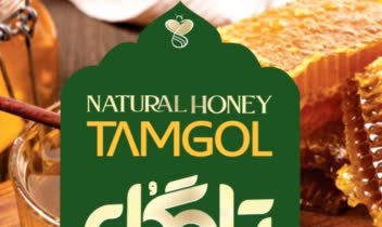 طراحی لوگومتناسب با هویت شخصی برند شرکت تامگل