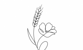 لوگوی گل گندم برای گل سازی مدل خطی
