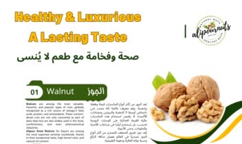 طراحی کاتالوگ ،کارت ویزیت ، لوگو