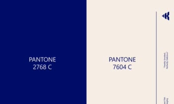 Modern & Minimal Fish Brand Identity Design