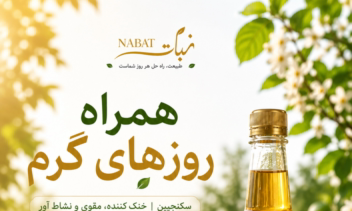 طراحی اینفوگرافی برای معرفی محصولات