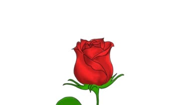 نمونه کار رندوم با ارت دیجیتال 🙌🏻