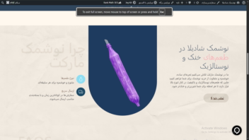 طراحی سایت تولید کننده نوشمک شادیلا