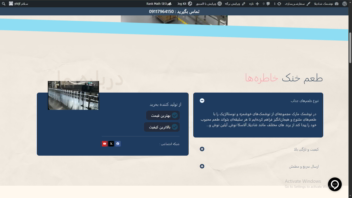 طراحی سایت تولید کننده نوشمک شادیلا